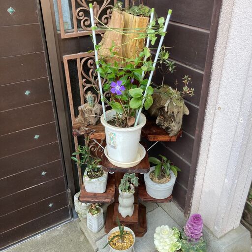 ☆いろいろ植物鉢植えまとめてセット　花台付き　（大-1）