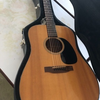 Martin D-18 1977