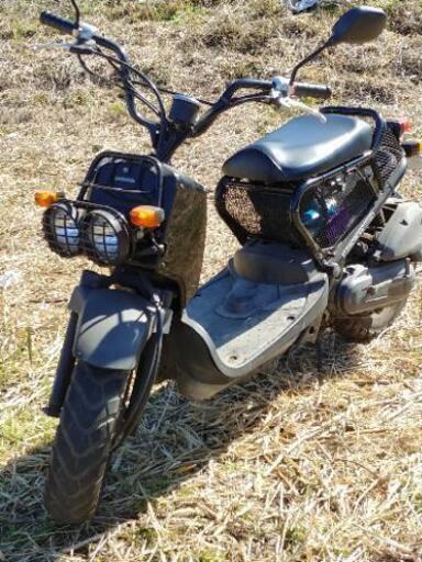 ホンダ　AF ズーマー