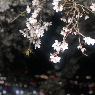 夜一緒に走れる練習仲間募集の画像