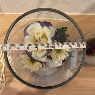 レンデフロール⭐︎胡蝶蘭 二つセット