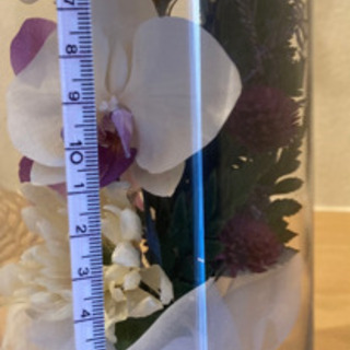 レンデフロール⭐︎胡蝶蘭 二つセット