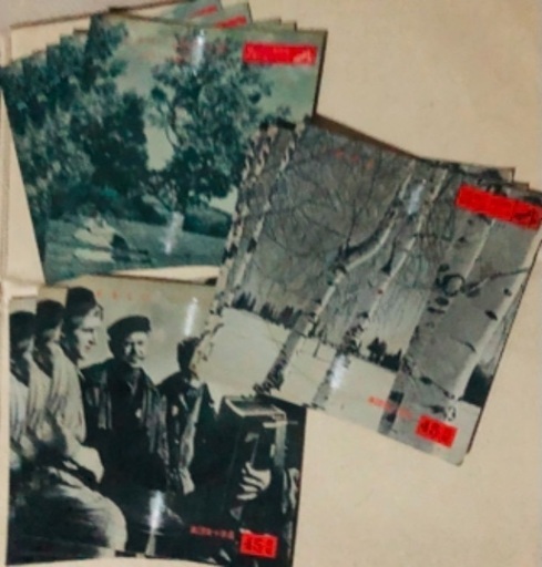 紙製のレコード レア物 レトロ 11枚セット Bingo 上大岡の本 Cd Dvdの中古あげます 譲ります ジモティーで不用品の処分