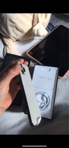Iphone 12 pro max 256gb gold sim フリー | noonanwaste.com