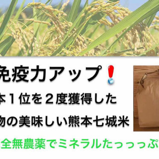 米の匠が作った完全無農薬熊本七城産『ミネラル米』免疫力アップにも!