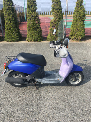 原付　ホンダ　トゥデイ50cc  スクリーン付き
