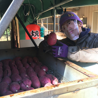 焼き芋 釜 薪釜 窯 薪窯