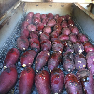 焼き芋 釜 薪釜 窯 薪窯