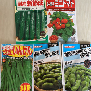 野菜の種9種