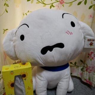 新品 特大クレヨンしんちゃん シロぬいぐるみ ぱこ 紀ノ川の家電の中古あげます 譲ります ジモティーで不用品の処分