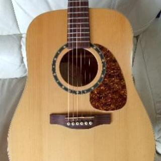 Morman Encore B20ゴダンアコースティックギター Morman Encore B20ゴダンアコースティックギター