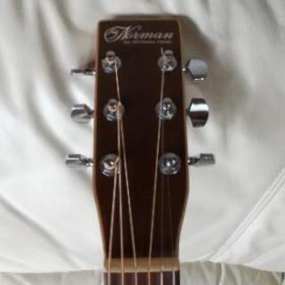 Morman Encore B20ゴダンアコースティックギター