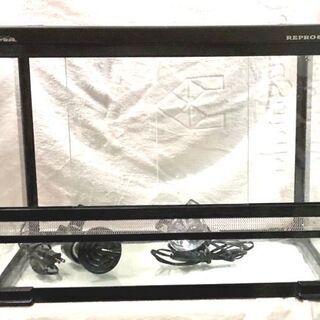 中古　レプロ645
