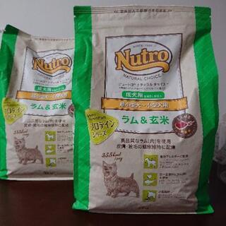 ドッグフード Nutro 成犬用 超小型犬～小型犬用 ラム&玄米...