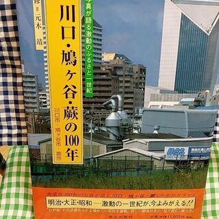 目で見る  川口・鳩ヶ谷・蕨の100年