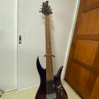 ESP オーダー品 6弦ベース - 弦楽器、ギター