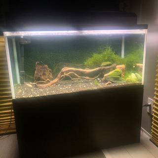 90水槽フルセット 90cm水槽のフルセット
