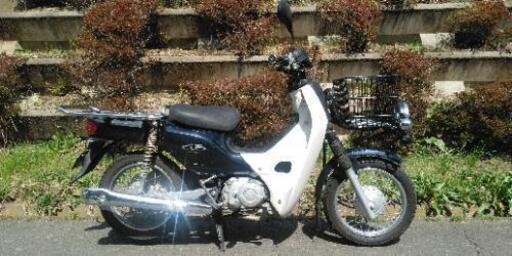 スーパーカブ50プロ　(1331)