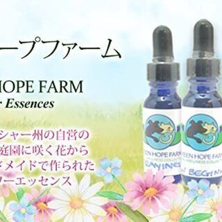 【未使用】アバンダンメント＆アビューズ（トラウマのケア）《グリー...