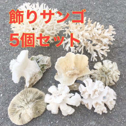 飾りサンゴ サンゴ 珊瑚礁 珊瑚 置物 ディスプレイ フィギュア ミドリイシ コモンサンゴ オオバナサンゴ Yuki Tanig 大阪狭山のその他の中古あげます 譲ります ジモティーで不用品の処分