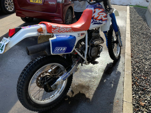 xlr250 md20 【公式通販】