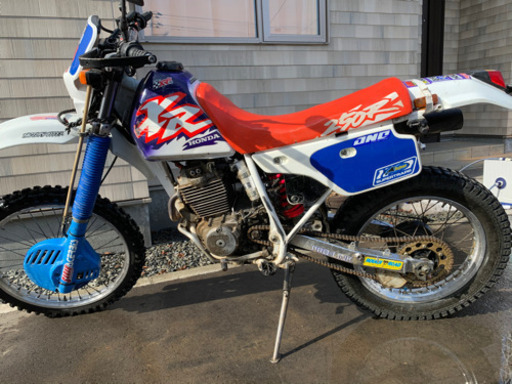 xlr250 md20 【公式通販】