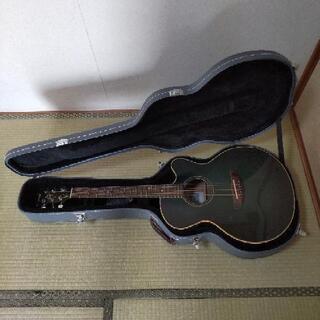 エレアコギター（YAMAHA Compass Series CPX-5TBB）