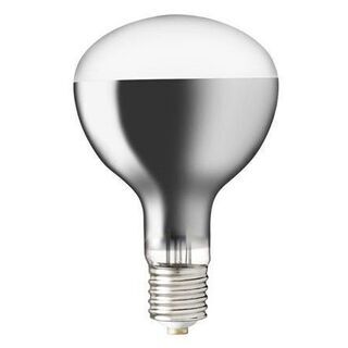 【新品】岩崎電気：屋外投光用ランプ　110VRS270W-H