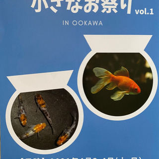 めだかすくい　めだか販売　金魚販売