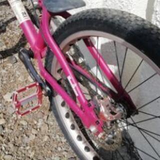 Full Marks - 24in KLONDIKE トライアル 24インチ (ほりうち) 河口湖の 