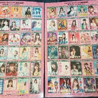 【激レア】AKB48選抜総選挙ポスターステッカー