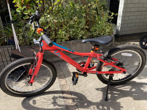 自転車 | institutodelasordera.cl