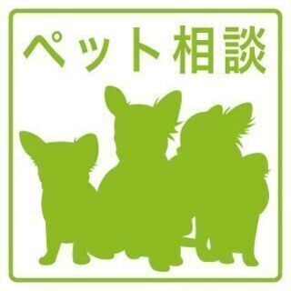 💍●清田区・２LDK●うれしい全室洋室のペットOK物件♪敷地内無料駐車場付き！🤩 − 北海道