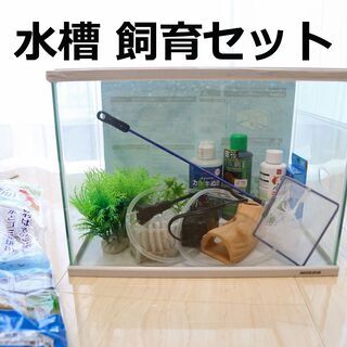 【ネット決済】ニッソー 水槽 金魚飼育セット