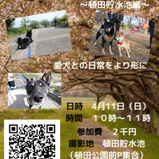 [本日10時から]犬撮影イベント北九州市若松区ジモティー特典あり！の画像