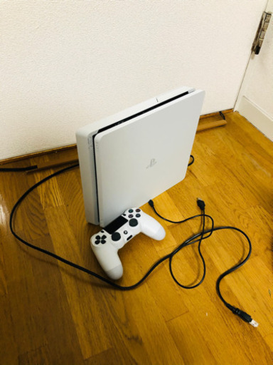 PlayStation 4ホワイト　500g