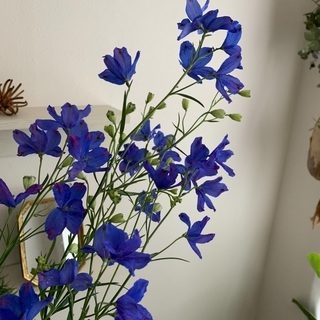 デルフィニウム生花切り花 たまこ 西葛西のその他の中古あげます 譲ります ジモティーで不用品の処分