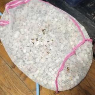 宮城仙台！900×450×450ガラスOF水槽セット！中古