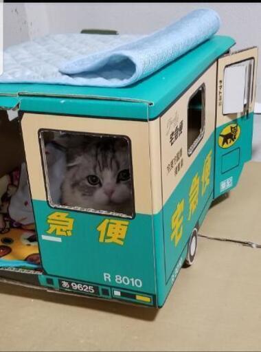 猫キャットハウス段ボール 手作り クロネコヤマト あや 草加のその他の中古あげます 譲ります ジモティーで不用品の処分