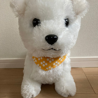 中古豆しば三兄弟が無料 格安で買える ジモティー 中古豆しば三兄弟が無料 格安で買える ジモティー