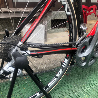 オルベア　オルカ  2008