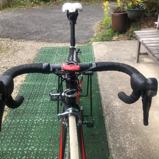 オルベア　オルカ  2008