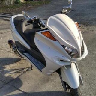 ﾏｼﾞｪｽﾃｨ250カスタム