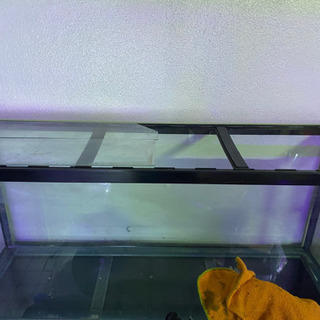 値下げ】水槽 120センチ コーナ曲げガラスフレーム コトブキ
