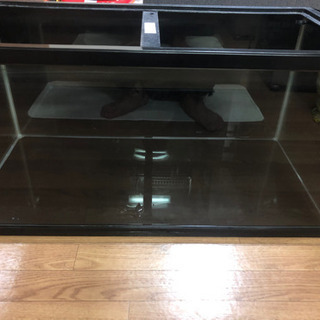 90センチ水槽値引き！！今日まで！