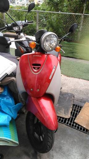 ホンダトゥデイ　⁂　５万円です　⁂　上等、値引不可（自賠責保険残りあり）