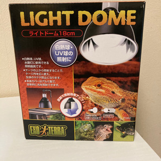 愛知県の中古爬虫類が無料 格安で買える ジモティー