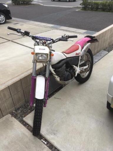 セローより低速鬼トルクな林道マシーンTY 250