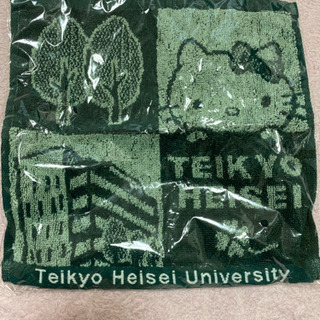 タオルハンカチ　kitty  帝京大学