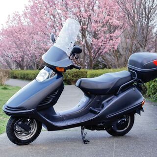 HONDA スペイシー125 JF03 マット塗装 スクリーン ...